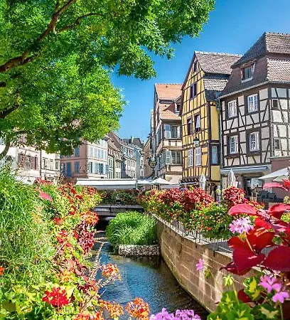 Apartamento La Cotonniere Downtown