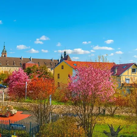 La Cotonniere Downtown Apartment Colmar