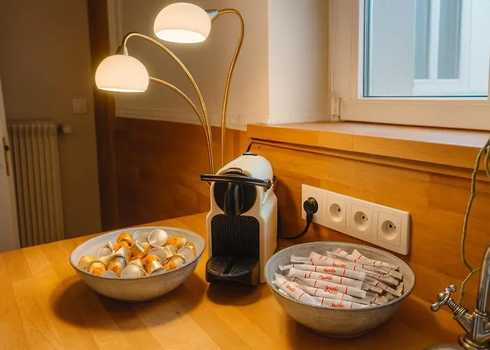 La Cotonniere Downtown アパート コルマール