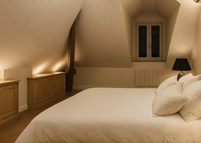 La Cotonniere Downtown コルマール